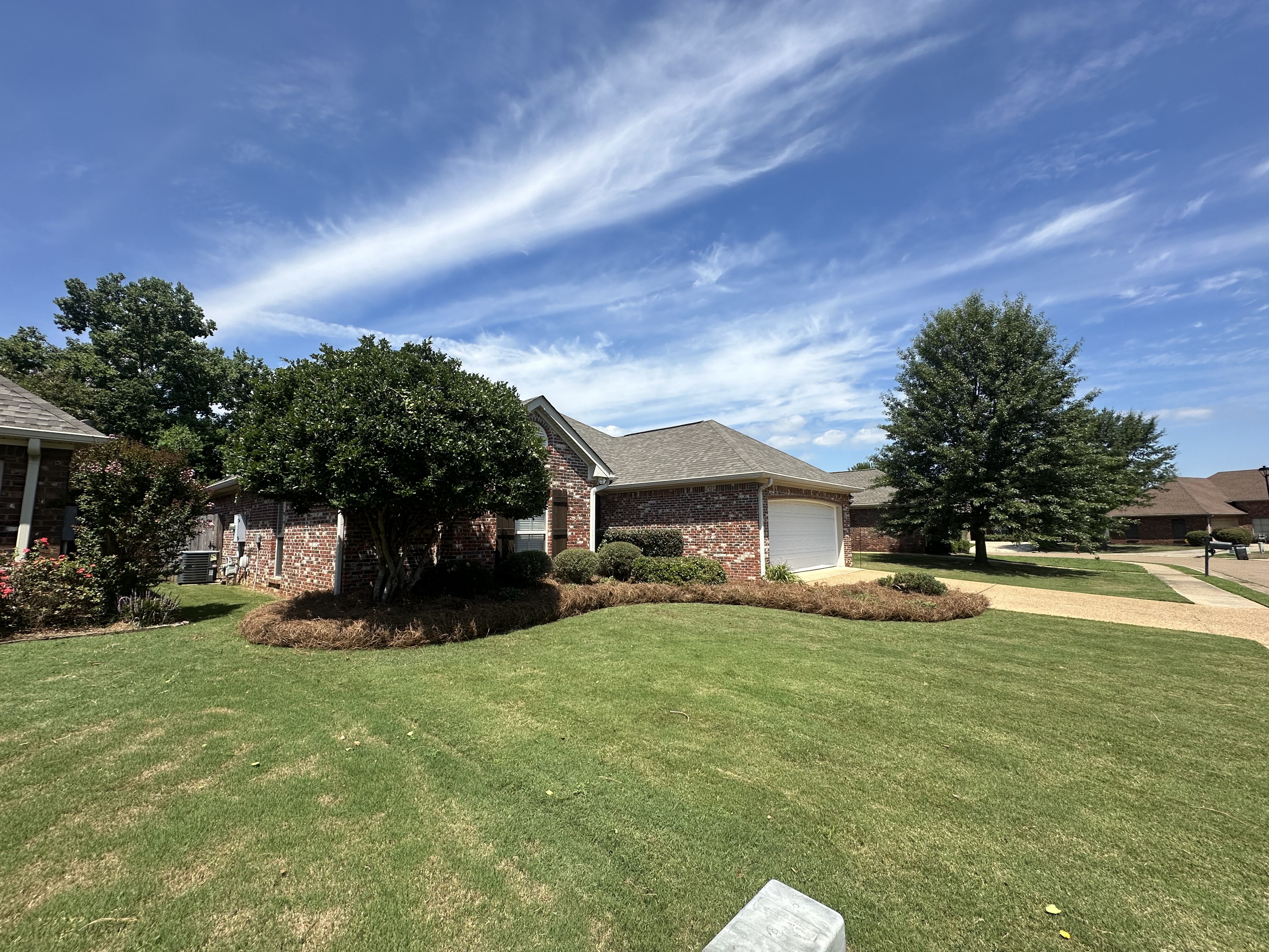 Manicured front lawn with magnolia